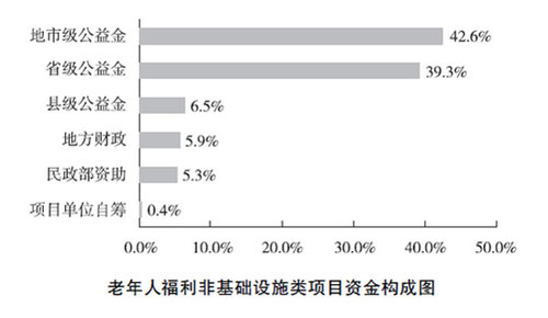 老年人福利非基础设施类项目资金构成图