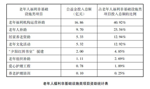 老年人福利非基础设施类项目资助统计表